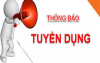 Thông báo tuyển dụng trợ giảng, Giảng viên hợp đồng lao động năm 2025